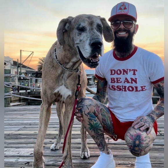 Meet your Posher, Douggie - Picture 3 of 8